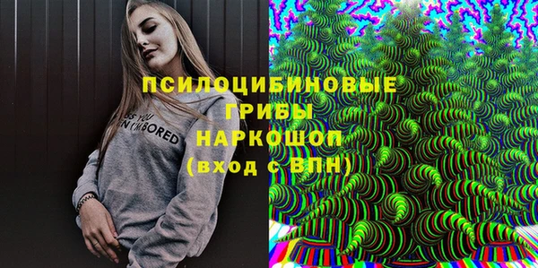 дживик Богородицк