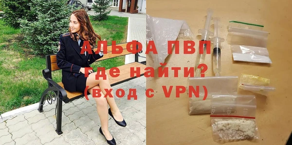 дживик Богородицк