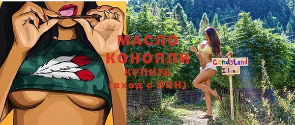 дживик Богородицк